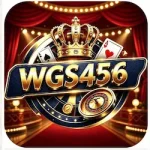 wgs456 game