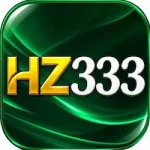 HZ333 Game